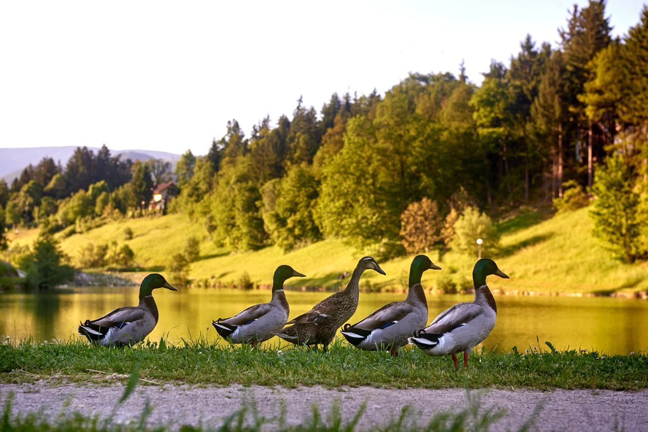 Terme Zrece - Vile Terme Zreče Dış mekan fotoğraf